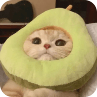 蘑菇视频1.3.4.APP应用